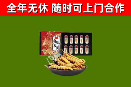 杭州市回收冬虫夏草价格